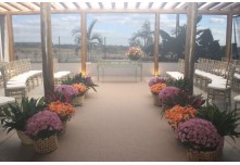 Casamento Carol e Telmo