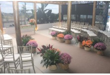 Casamento Carol e Telmo