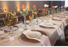 Casamento Carol e Telmo