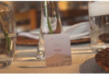 Casamento Carol e Telmo