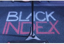 Casamento Carol e Telmo