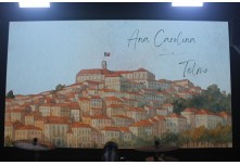 Casamento Carol e Telmo