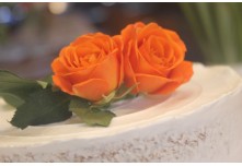 Casamento Carol e Telmo