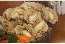 Casamento Carol e Telmo