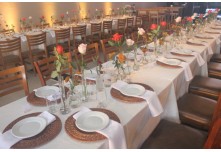 Casamento Carol e Telmo