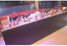 Casamento Aline e Gabriel