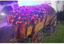 Casamento Aline e Gabriel