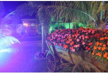 Casamento Aline e Gabriel