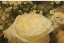 Casamento Aline e Gabriel