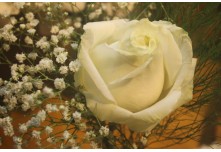 Casamento Aline e Gabriel