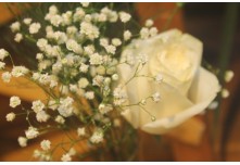 Casamento Aline e Gabriel