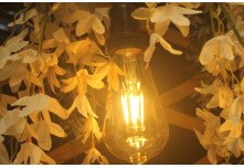 Casamento Aline e Gabriel