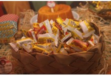 Festa Junina Gonzaga