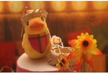 Festa Junina Gonzaga