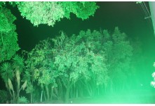 Casamento Leticia e Carlos