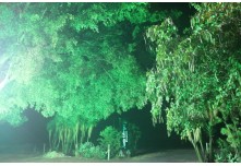 Casamento Leticia e Carlos