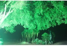 Casamento Leticia e Carlos