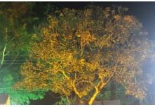 Casamento Leticia e Carlos