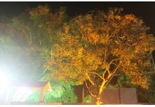 Casamento Leticia e Carlos