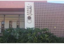 Casamento Amanda e Leandro