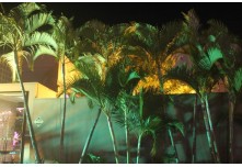 Casamento Amanda e Leandro