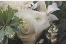 Casamento Amanda e Leandro