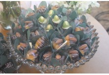 Casamento Amanda e Leandro