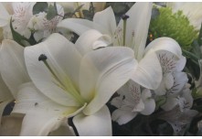 Casamento Amanda e Leandro