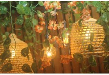 Casamento Vânia e José Antônio