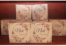 Niver 15 Anos Nicolly 