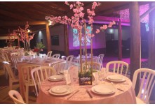 Niver 15 Anos Ayslla Lorrayne