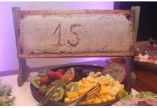 Niver 15 Anos Ayslla Lorrayne