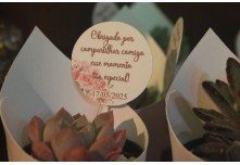 Niver 15 Anos Ayslla Lorrayne