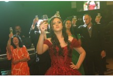 Niver 15 Anos Ayslla Lorrayne