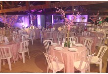 Niver 15 Anos Ayslla Lorrayne
