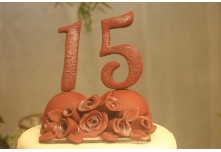 Niver 15 Anos Ayslla Lorrayne