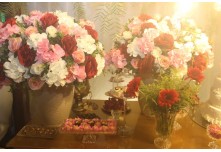 Niver 15 Anos Ayslla Lorrayne