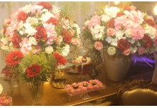 Niver 15 Anos Ayslla Lorrayne