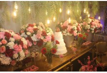 Niver 15 Anos Ayslla Lorrayne