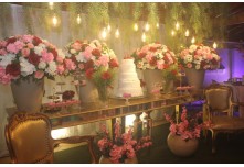 Niver 15 Anos Ayslla Lorrayne
