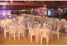 Niver 15 Anos Ayslla Lorrayne