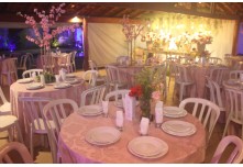 Niver 15 Anos Ayslla Lorrayne