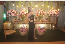 Niver 15 Anos Ayslla Lorrayne