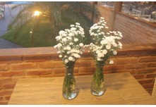 Casamento Priscila e Rodrigo