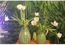 Casamento Isabela e Francieder