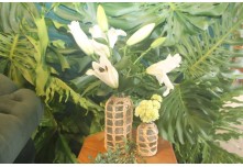 Casamento Isabela e Francieder