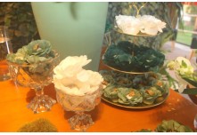 Casamento Isabela e Francieder