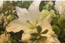 Casamento Isabela e Francieder