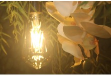 Casamento Isabela e Francieder