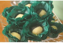 Casamento Isabela e Francieder